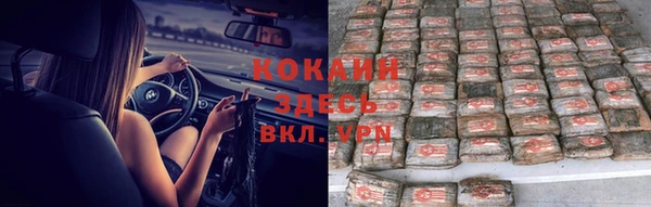 ПСИЛОЦИБИНОВЫЕ ГРИБЫ Горно-Алтайск