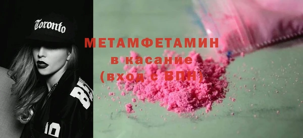 прущие грибы Вязьма