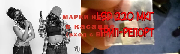 ПСИЛОЦИБИНОВЫЕ ГРИБЫ Горно-Алтайск