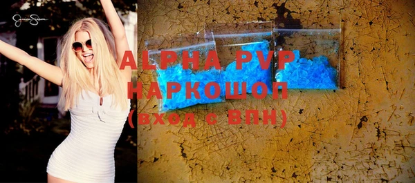 ПСИЛОЦИБИНОВЫЕ ГРИБЫ Горно-Алтайск