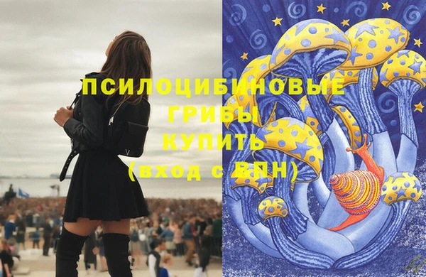 ПСИЛОЦИБИНОВЫЕ ГРИБЫ Горно-Алтайск