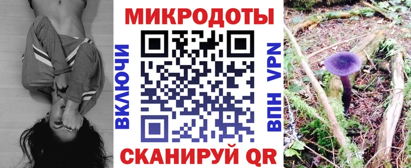где найти наркотики Грайворон Галлюциногенные грибы Magic Shrooms
